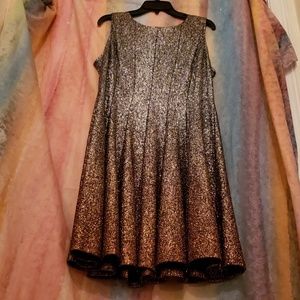 Sparkly Silver/Bronze Ombre Sleeveless Dress